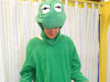 aa6-frog-size-m-l-35